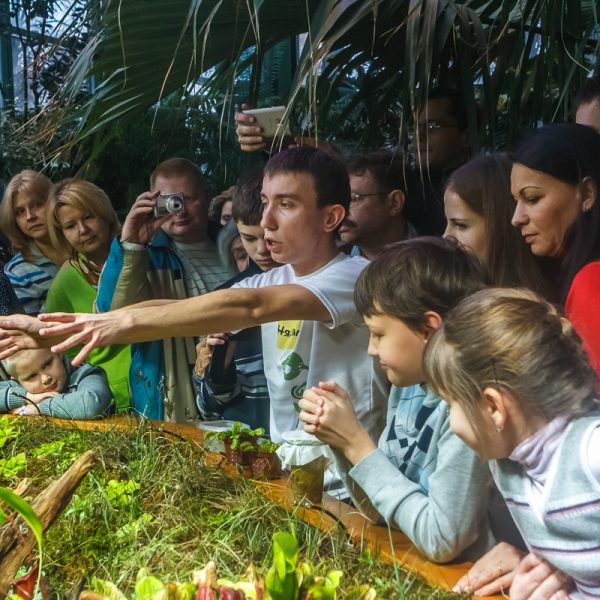 Мастер-классы в Ботаническом саду МГУ «Аптекарский огород» в мае 2019 года