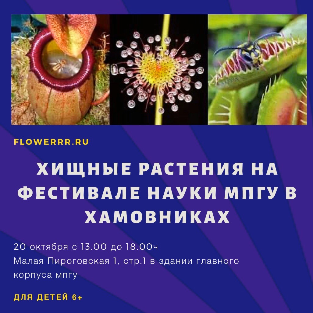 20 октября FLOWERRR.RU на фестивале науки в Хамовниках