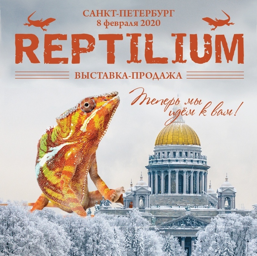 8 февраля FLOWERRR на «Рептилиум» в Санкт Петербурге