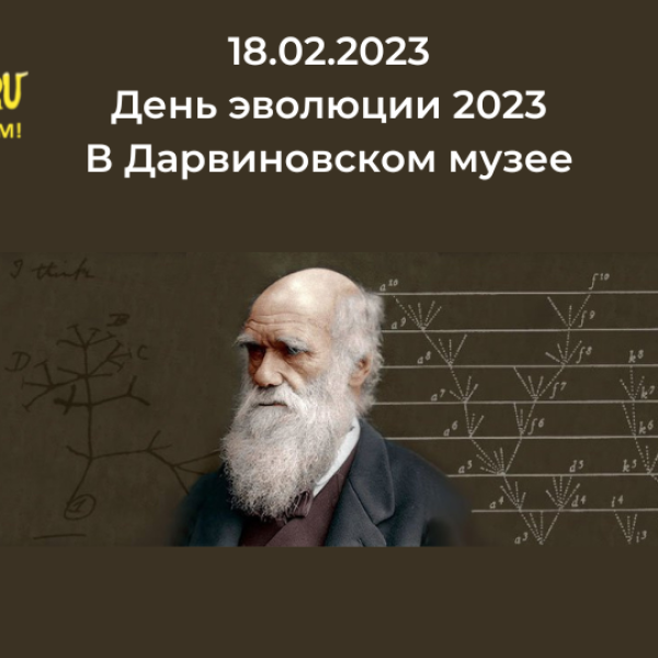 18 февраля 2023 лекция-выставка в Дарвиновском музее