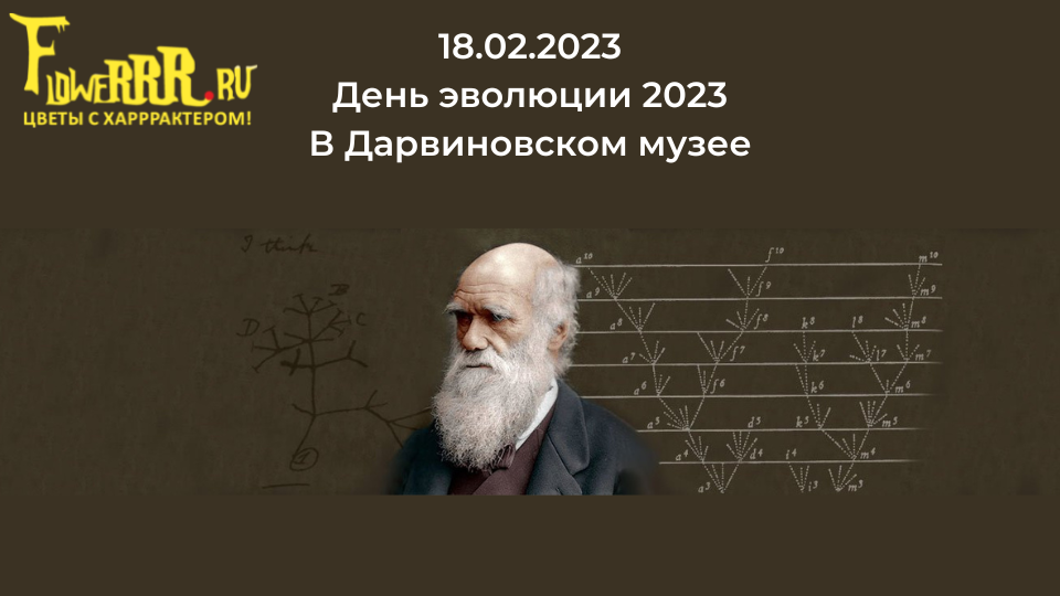 18 февраля 2023 лекция-выставка в Дарвиновском музее